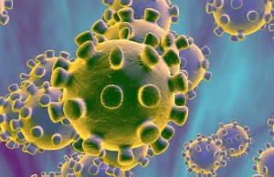 Prawdopodobna teoria o tym skąd wziął się Wuhan Coronavirus [ENG]