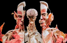 Kontrowersyjna wystawa BODY WORLDS w Poznaniu – Dzień dla Niewidomych.