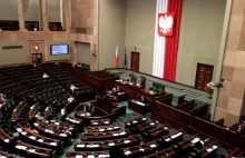 Sejm zaostrzył kary za znęcanie się nad zwierzętami