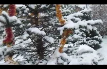 *Zimowy spacer-1 śnieg:)*