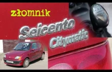 Złomnik: Fiat Seicento Citymatic czyli ni pies, ni wydra