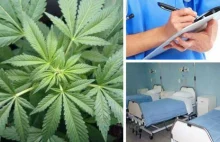W Bydgoszczy rozpocznie się leczenie marihuaną