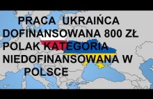 Rząd dopłaci 800 zł do pracy Ukraińcom , a was nie dofinansuje