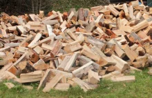 Jak składować i zabezpieczać drewno na zimę?