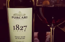 Dzięki Łodzi pijemy galante (jakie?) wina - Purcari Pinot Noir
