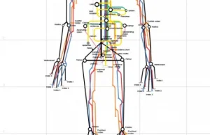 Wizualizacja ludzkiego ciała jak mapa metra