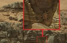 Na jednym ze zdjęć Marsa uwieczniono coś co wygląda na... kraba...