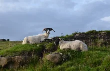 Isle of Skye - perełka Szkocji