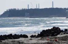 W Fukushimie odnotowano rekordowo wysoki poziom promieniowania jądrowego