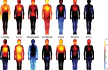 Body Heat Map. Jak różne stany emocjonalne wpływają na reakcję naszego ciała?