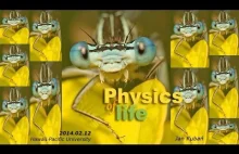 Fizyka życia - film otwierający oczy. The Physics of Life - Introduction