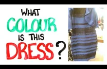 Jakiego koloru jest ta sukienka? Odpowiedź przy pomocy nauki.