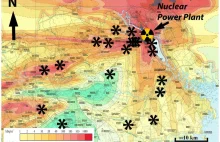 Wpływ radiacji na rozkład martwej materii organicznej