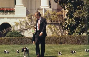 Zwierzęta amerykańskich prezydentów