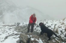 Turyści sprowadzili psa, który bał się zejść ze szczytu Giewontu.