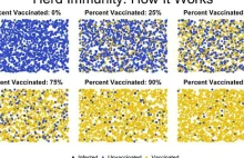 Wizualizacja dlaczego szczepienia powinny być przymusowe.