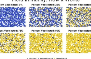Wizualizacja dlaczego szczepienia powinny być przymusowe.