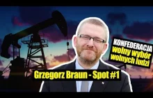 Grzegorz Braun : Spot wyborczy nr. 1