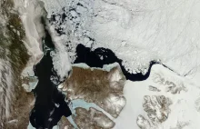 Lody Arktyki rozpadają się niemal tak szybko jak w 2012 roku