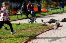 Sześciolatki tańczące na rurze i nauczycielka zmuszająca chłopców do...