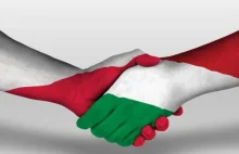 Węgierska prasa: Orban i rząd Polski chcą razem kierować Europą Środkową