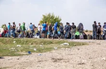 Węgrzy zadecydują w referendum czy zgadzają się na przymusowe rozlokowanie...