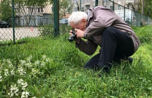 71-letni youtuber opowiada o roślinach i owadach