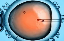 Amerykanie rozpoczęli modyfikacje genetyczne ludzkich embrionów