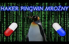 Haker Pingwin Mroźny