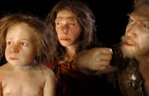 Kobiety Homo sapiens nie mogły mieć synów z neandertalczykami