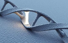 Grzebanie w genach sprawi, że będziemy żyli po 500 lat? Chce tego Google!