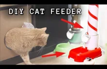 Jak zbudować inteligentny podajnik jedzenia dla kota