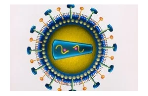 Z AIDS można się wyleczyć, ale trzeba mieć odpowiedniego dawcę
