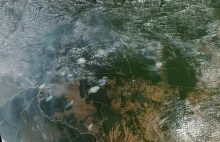 Czy pożary w lasach Amazonii to coś nowego?