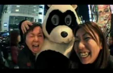 Szalone pandy, czyli Jackass po japońsku
