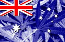Australia: „Zieloni” chcą legalizacji marihuany,aby odebrać ją z rąk przestępców