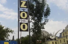 Makabra w Zoo w Zamościu: 30-latka wyjadła jedzenie małpom