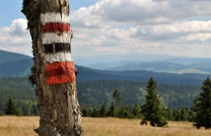 Polsko-niemiecka "wojna na pędzle" - konflikt, jakiego świat nie widział