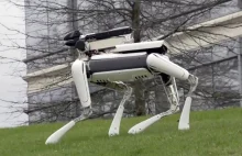 Boston Dynamics zapowiada nowe robo-zwierzęta i chce zalać nimi świat
