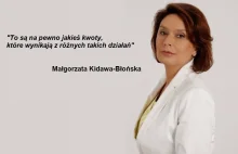 Kidawa-Błońska twierdzi, że do końca kadencji nie da się przyjąć ustawy o...