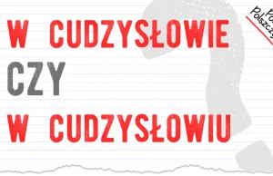 Zapisujemy w cudzysłowie czy w cudzysłowiu? Która odmiana jest poprawna?