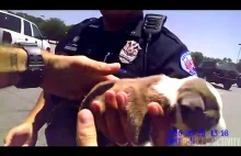 Policjant ratuje młodego szczeniaka zamkniętego w nagrzanym samochodzie