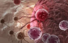 Cząsteczki RNA zabiją raka