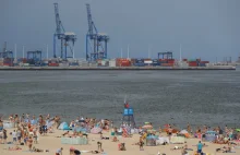 Plaża i las na Stogach nie pójdą pod rozbudowę Portu Gdańsk