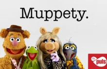 TV Puls pokaże nowe "Muppety"