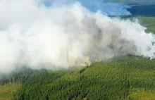 Polscy strażacy jadą do Szwecji. Pomogą gasić pożary lasów