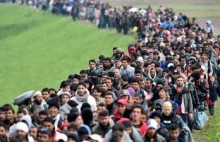 Migracyjny koszmar może powrócić. UE chce kar dla przeciwników kwot