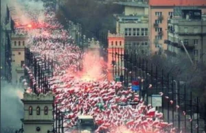 ONZ domaga się delegalizacji Ruchu Narodowego, ONR i Młodzieży Wszechpolskiej