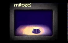 Mitoza 01