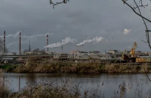 Pracownicy z Korei Północnej zatrudnieni w stoczni w Policach.